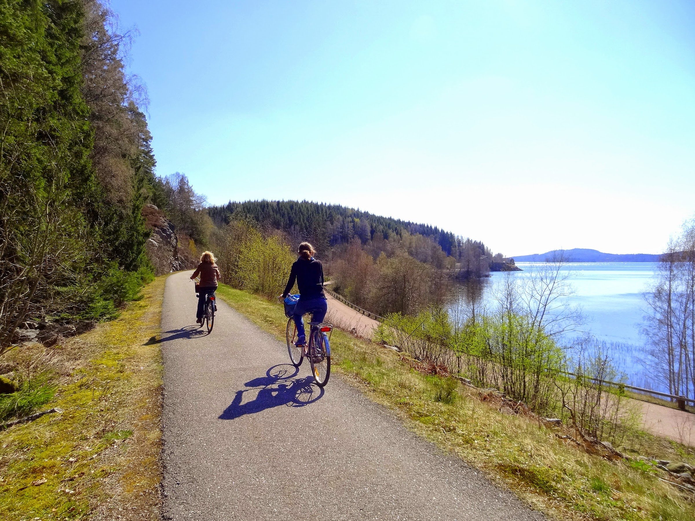 Skotteksgården Camping & Stugby